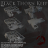 Dark Realms - Dark Kin Elves - Black Thorn Keep image