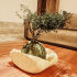 Bonsai Planter for Kokedama Art image