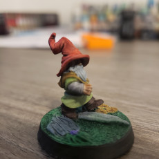 Picture of print of Gnome [PRE-SUPPORTED]