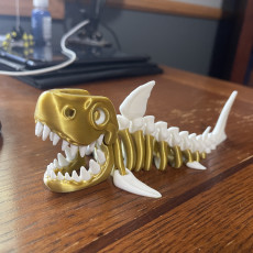 Picture of print of Public Release: Flexi Factory Skeleton Shark