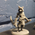Fox warrior image