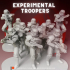 Experimental Imperial Troopers image