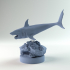 Helicoprion swimming 1-35 scale pre-supported prehistoric shark image