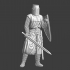 Medieval Crusader Knight - sword and great helm image