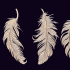 art feathers image