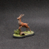 Stag Leaping - The Hunt image