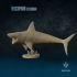 Helicoprion bessonowi : Tooth Whorls of Permian image
