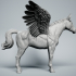 Pegasus Horse image