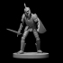 Skeleton Knight image