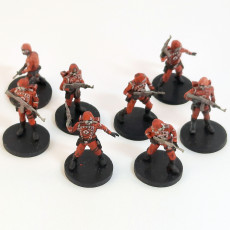Picture of print of Elite 'Cartoon' Guardsmen Squad
