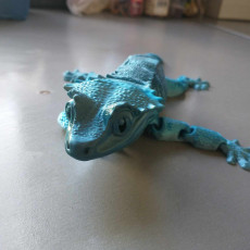 Picture of print of Crested Gecko Articulated Toy, Snap-Fit Head, Cute Flexi
