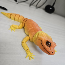 Picture of print of Crested Gecko Articulated Toy, Snap-Fit Head, Cute Flexi 这个打印已上传 Vanessa Williamson