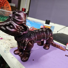 Picture of print of Crested Gecko Articulated Toy, Snap-Fit Head, Cute Flexi Esta impresión fue cargada por Vanessa Williamson