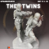 The Twins image