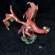 Picture of print of Kyera, Dragon Rider