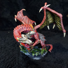 Picture of print of Kyera, Dragon Rider