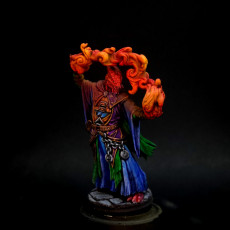 Picture of print of Draconian Sorcerer - Male Version