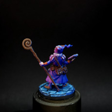 Picture of print of Shalana, Gnome Wizard