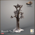 Beech Tree Winter/Summer versions - The Hunt image