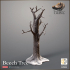 Beech Tree Winter/Summer versions - The Hunt image