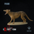 Thylacine : The Thylacine Snarl image