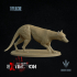 Thylacine : Walking image