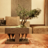Cliff Bonsai Planter - Japanese Art image