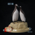Great auk : Pinguinus impennis image