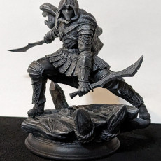 Picture of print of Master Assassin Rogue - Serran