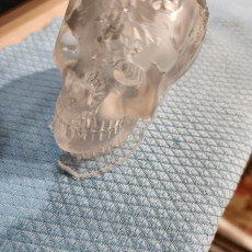 Picture of print of Crystal Skull