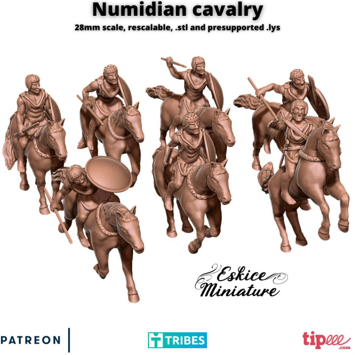 Numidian Cavalry - 28mm's Cover