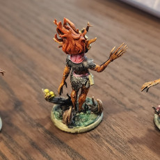 Picture of print of Forest Spirits set 20mm Base