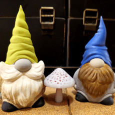 Picture of print of 5 Gnomes ( Supportless )