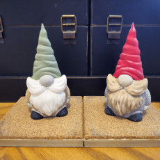 Picture of print of 5 Gnomes ( Supportless )