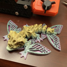 Picture of print of Butterfly Wyvern