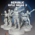 Republic Rifle Squad 2 image