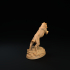 Naked Sabertooth | Presupported | The Simiax Legions image