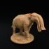 Platybelodon | Presupported | The Simiax Legions image
