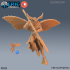 Moth Warrior Set / Huge Insect Hybrid / Male Insectoid / Winged Humanoid / Butterfly Stage image