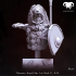 Bundle - Roman Aquilifer 1st-2nd C. A.C. The Last Stand! image