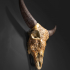 Bill, the Buffalo Skull image