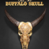 Bill, the Buffalo Skull image