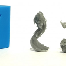 Picture of print of Flameskulls - Tabletop Miniatures (Pre-Supported)