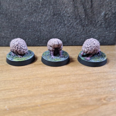 Picture of print of Intellect Devourers - Tabletop Miniatures (Pre-Supported)