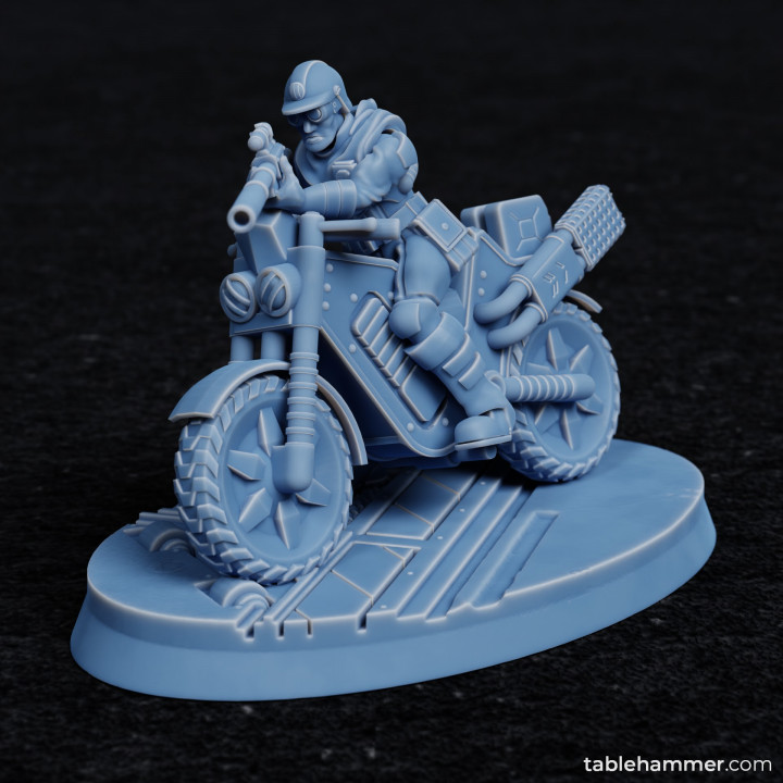 Combineer Surveyor Jim - Bike sniper scout (Accell Union)'s Cover