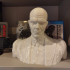 Skull Face Bust (Metal Gear Solid 5) print image