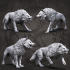 Wolf pack image