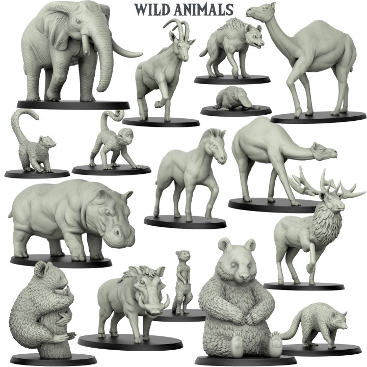 WILD ANIMALS's Cover