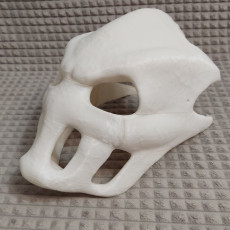 Picture of print of Terror Mask