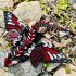 Butterfly Dragon print image
